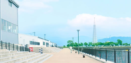 写真：広場